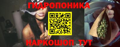 шишки Комсомольск-на-Амуре