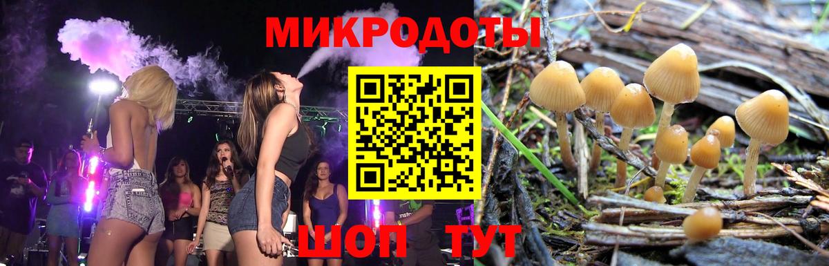 Ковров  где найти наркотики  Вход с VPN  Псилоцибиновые грибы Cubensis 